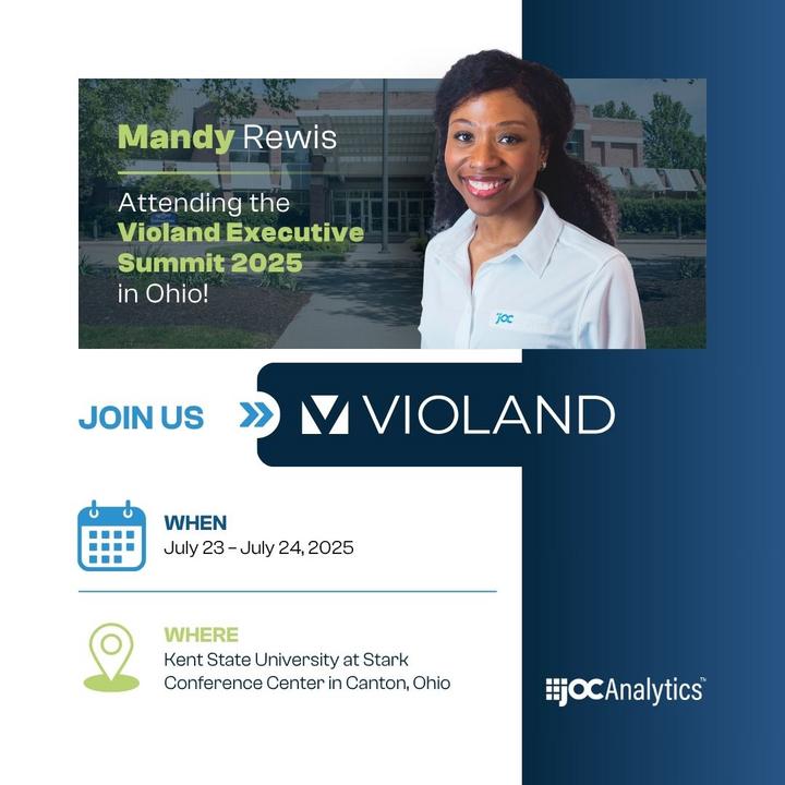 Violand Executive Summit 2025 blog post cover photo